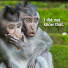q8VLIyHnsmE-channel-avatar-I Did Not Know That