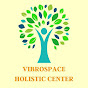 Vibrospace. us logo