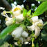 B2s1r117w_M-channel-avatar-Phan Tiến