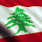 @lebaneseeagle5196