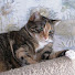 UCYzvzp9Z_Q-channel-avatar-Lauren Welch