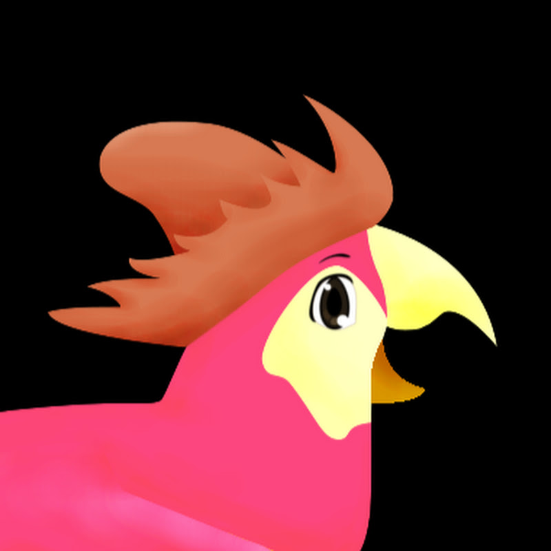 Tour Bird Buddy