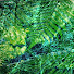 rVE_Yl2OKbw-channel-avatar-seabed