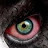 @leenickell Avatar