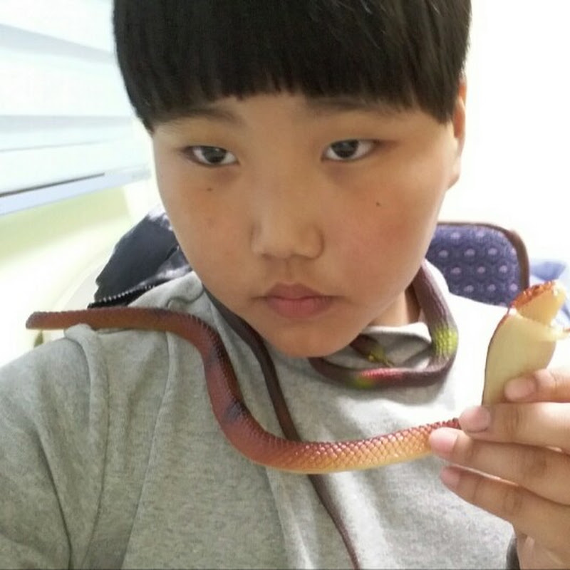 BJ깡시 일상