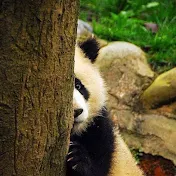 e55 ONE OK ROCK[MAD]Movie channel