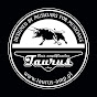 TaurusAmp