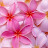 avatar of @wisewomen9008