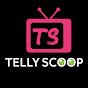 Telly Scoop logo