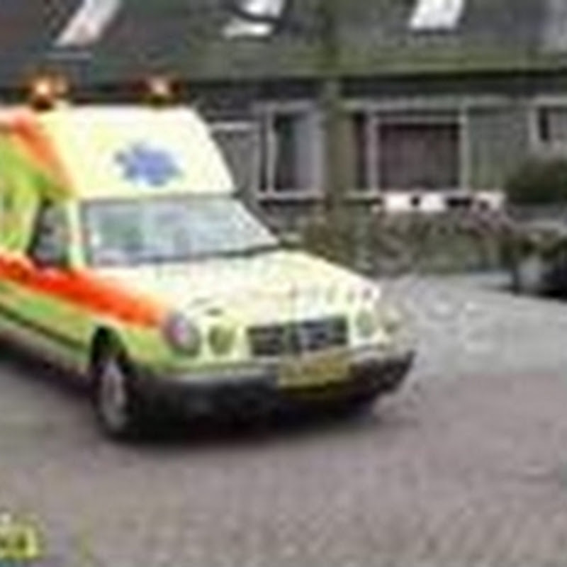 petfindernederland