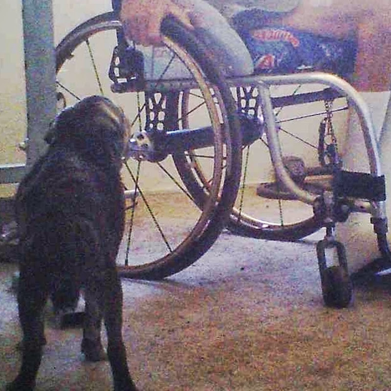 d72466fly