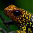 YjlZeSKEe4s-channel-avatar-Troy Goldberg's Tropical Garage