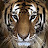 @user-cz2qv7yg8o