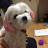 @페리부활