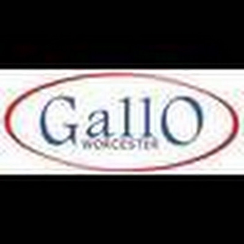 gallomotor