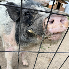 と