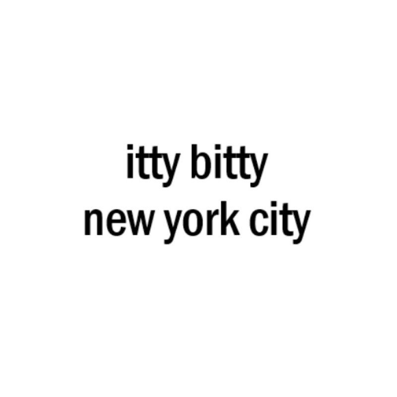 itty bitty new york city