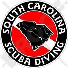 South Carolina Scuba Diving Avatar