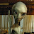@SalAndy66 Avatar
