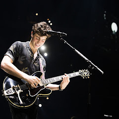 Shawn Mendes Official