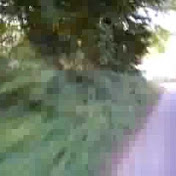 Videosculptor