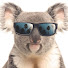 mzs2DwwPbgQ-channel-avatar-Koalaarena Durczak