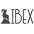 ir1zN66ZrB4-channel-avatar-IBEX