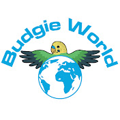 Budgie World
