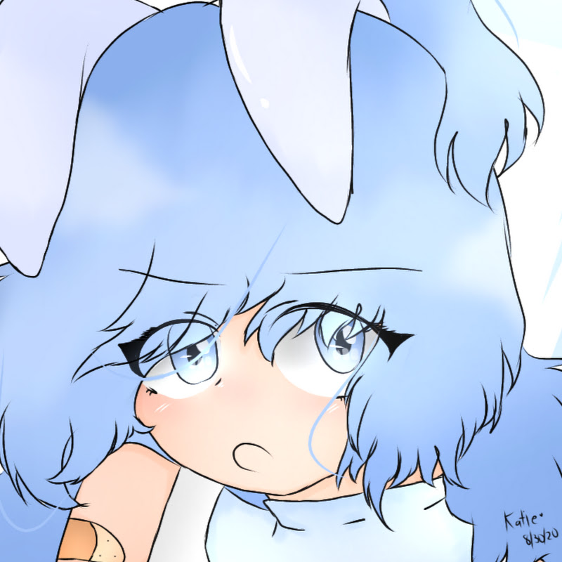 「 Dreamer Mochii 」