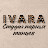 Ivara Studio