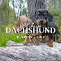 All Things Dachshund