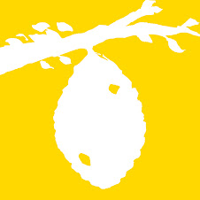 thumbnail img1x1
