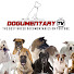 Dogumentary TV