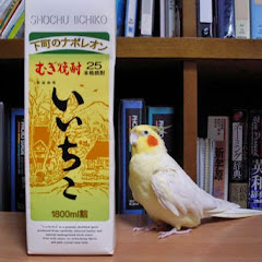 「いいちこインコ」飼い主・花沢りん吉