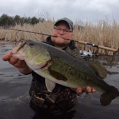 Pure Michigan Outdoors