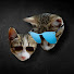 t-h-CiPS-JA-channel-avatar-batorrower pley