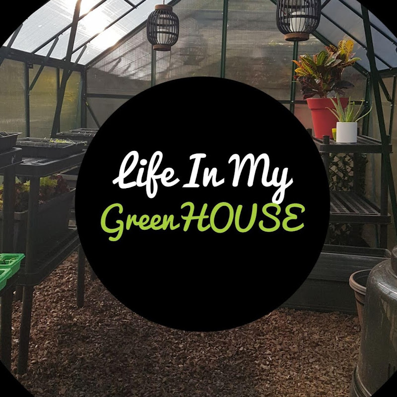 Life in my GREENHOUSE