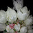 @МишельМишель-в3в