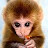@monkeylikesmonkeys