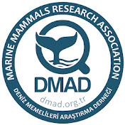 DMAD Marine Mammals Research Association
