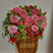 @이명화-z6k