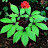 @user-gt8xw7cd1r