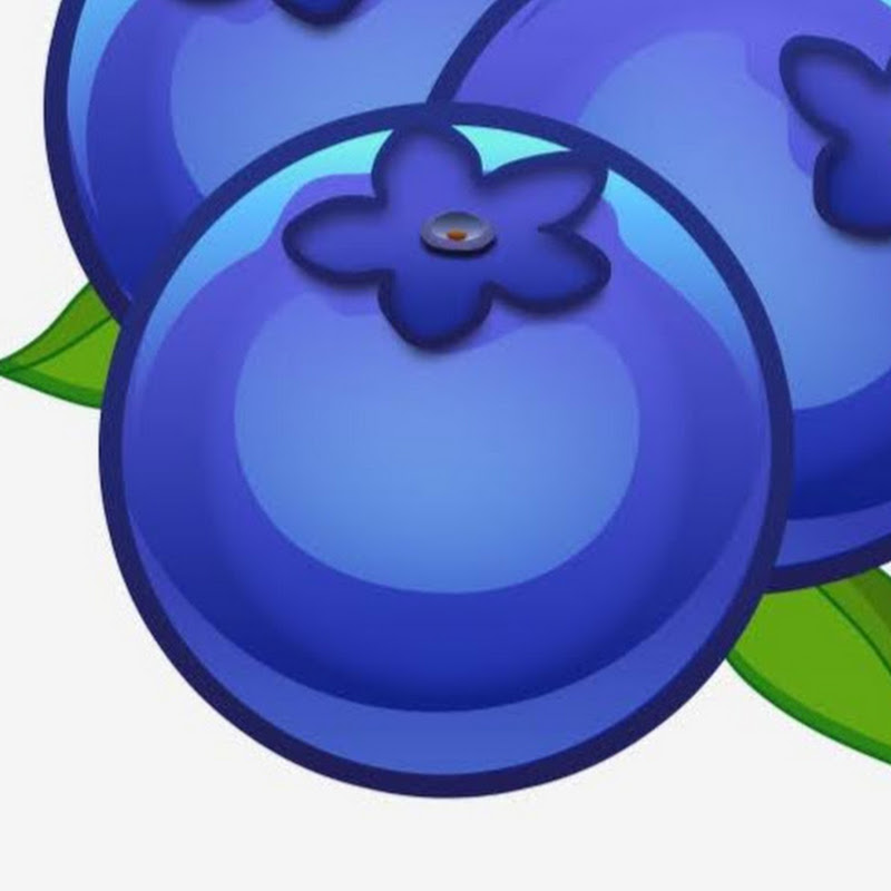 Blooberry Ninja Gaming