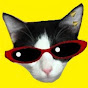 Videos divertidos de gatos Luna y Estrella Image Thumbnail