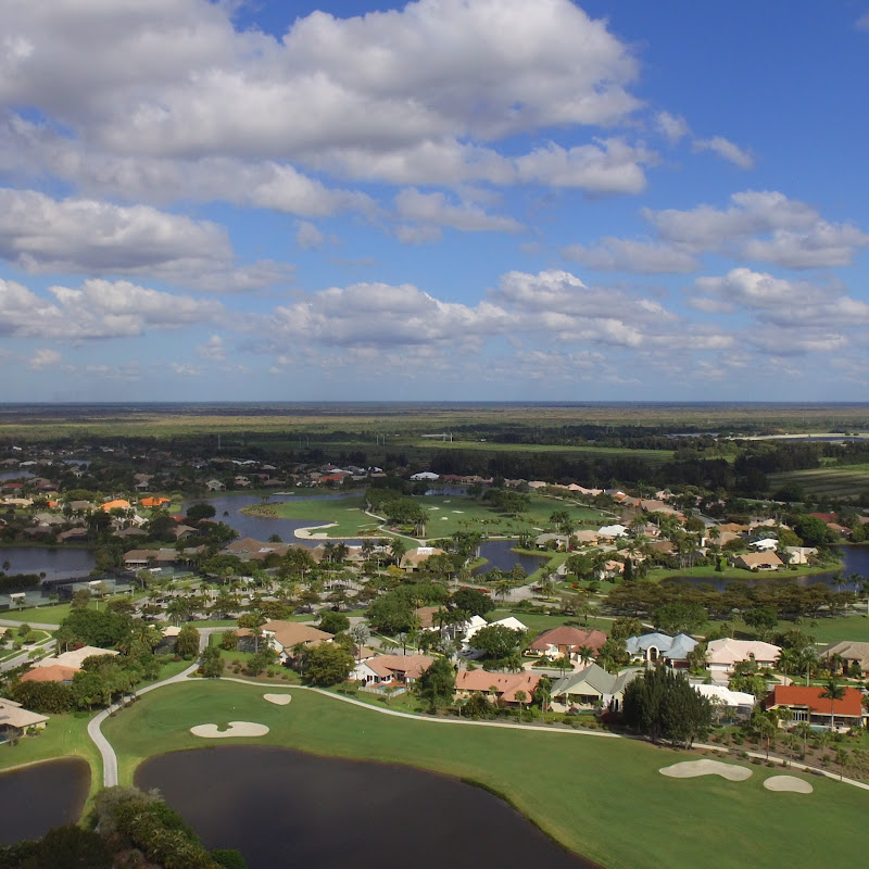 The Birdie View Inc