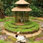 Miniature