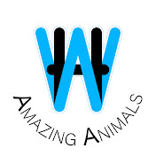WH Amazing Animals