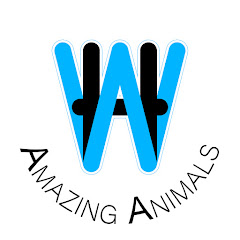 WH Amazing Animals channel logo