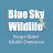 Blue Sky Wildlife