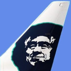 Airplaneviewer net worth